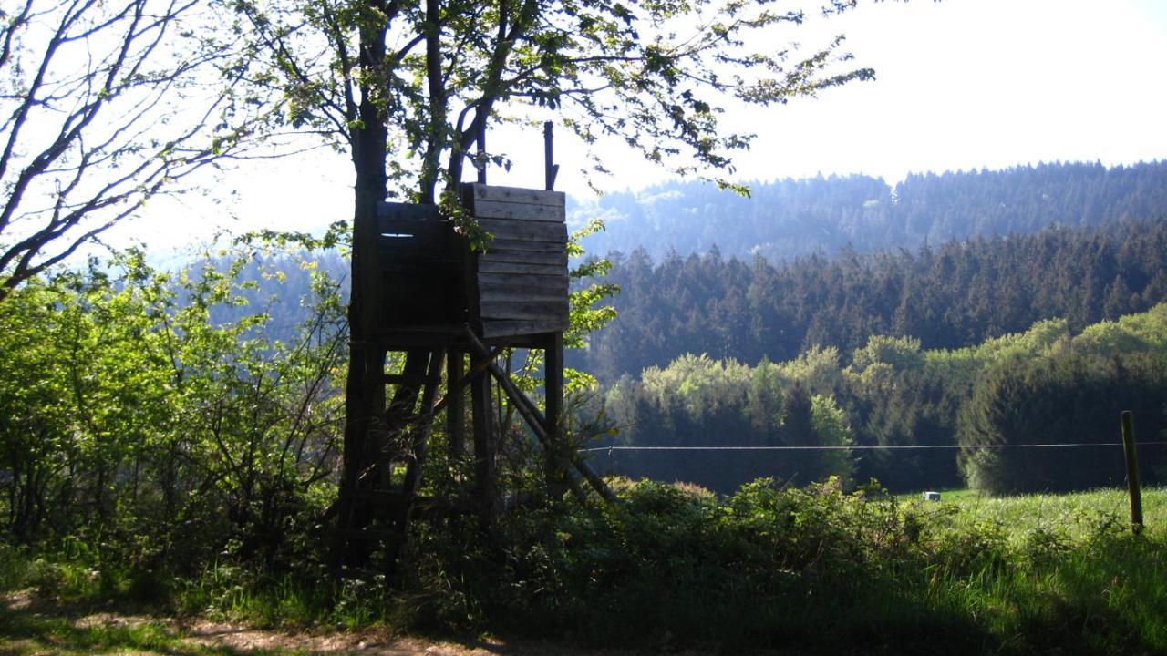 Fewo Marita Wimbach Buitenkant foto