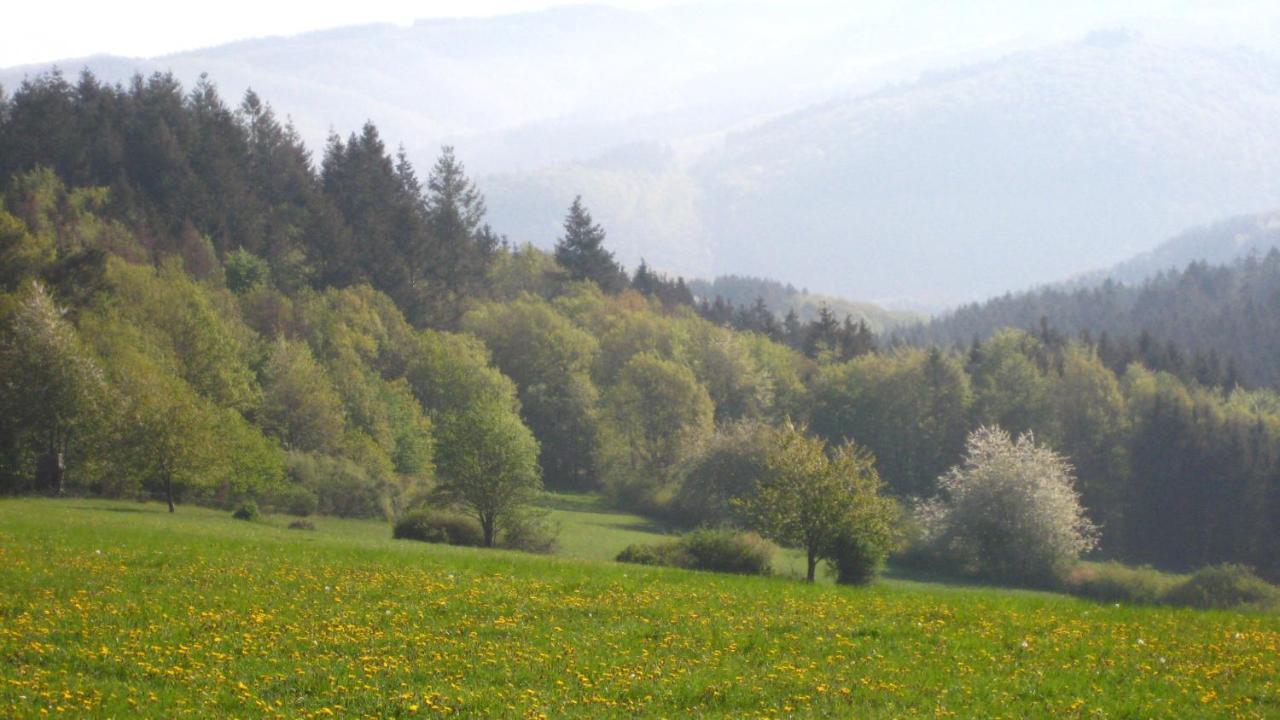 Fewo Marita Wimbach Buitenkant foto