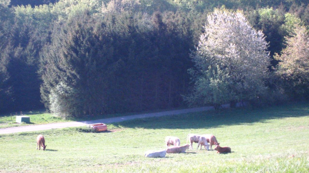 Fewo Marita Wimbach Buitenkant foto